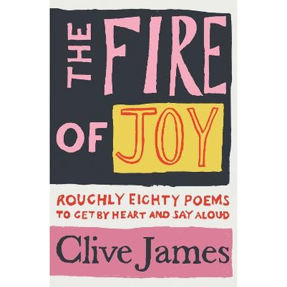 Fire of Joy image 0