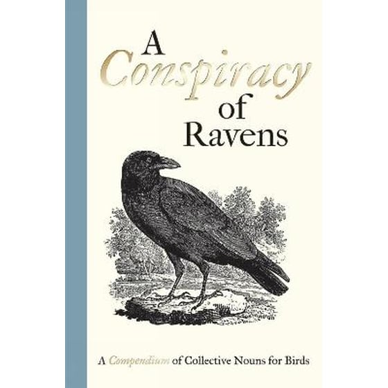 Conspiracy of Ravens image 0