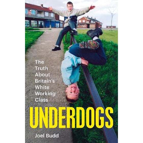 Underdogs image 0