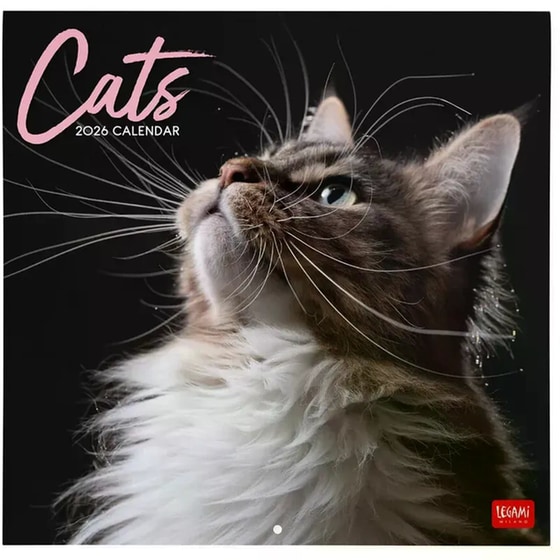 Ημερολόγιο Τοίχου Legami 2026 Cats 30x29cm image 0