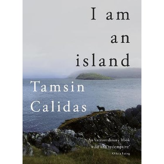 I Am An Island image 0