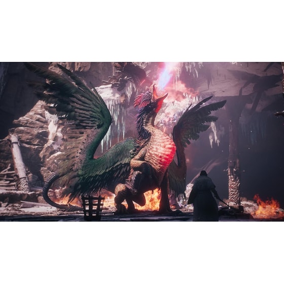 Dragons Dogma II Dark Arisen Master Edition - PS5 image 5