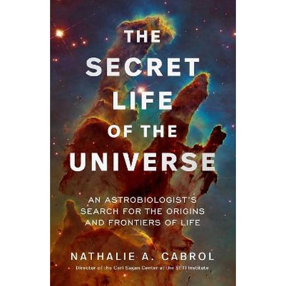 The Secret Life of the Universe image 0