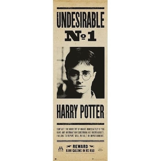 Αφίσα Harry Potter Κάθετη 53 x 158 cm image 0