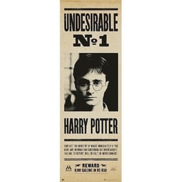 Αφίσα Harry Potter Κάθετη 53 x 158 cm