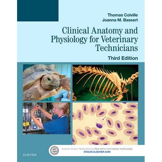 Clinical Anatomy and Physiology for Veterinary Technicians image 0