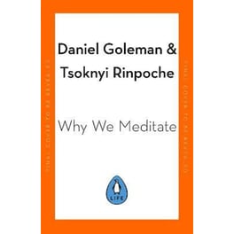Why We Meditate