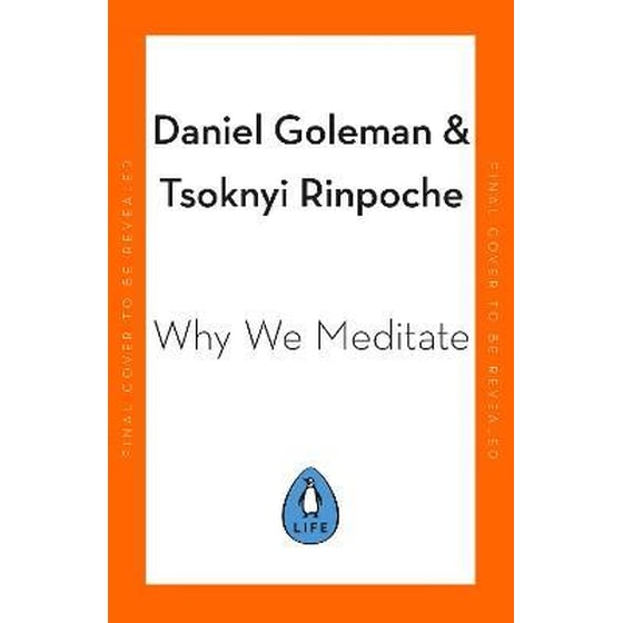 Why We Meditate image 0