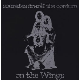 On The Wings