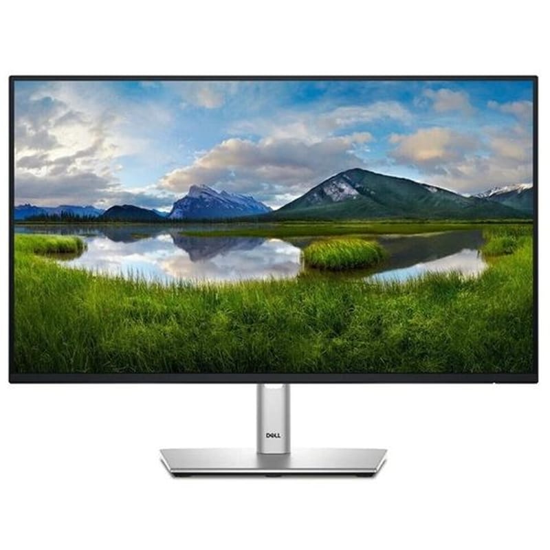 Dell P2425HE Monitor 23.8 FHD IPS Flat 100Hz 8ms