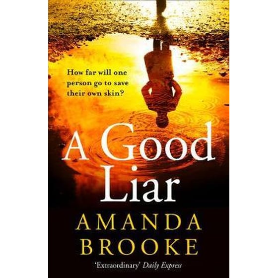 A Good Liar image 0