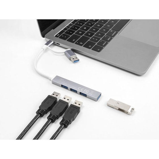 Delock 64214 USB Hub 3.2 με 4 θύρες - Γκρι image 1