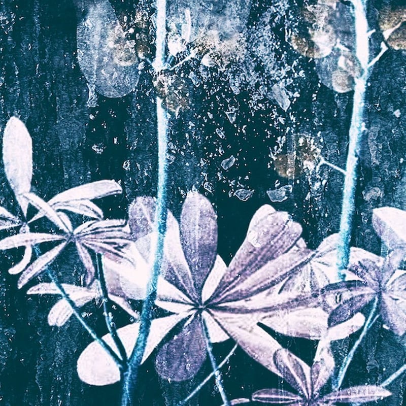 Ljostilliifun (Japanese)