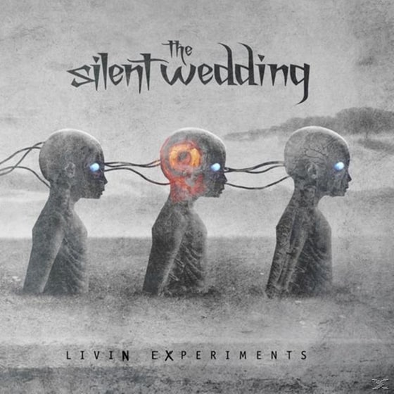 Livin Experiments image 1