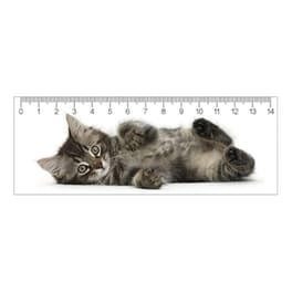 3D Χάρακας Map Cards Sro Γατάκι Tabby 15 cm