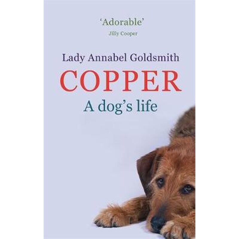 Copper- A Dogs Life