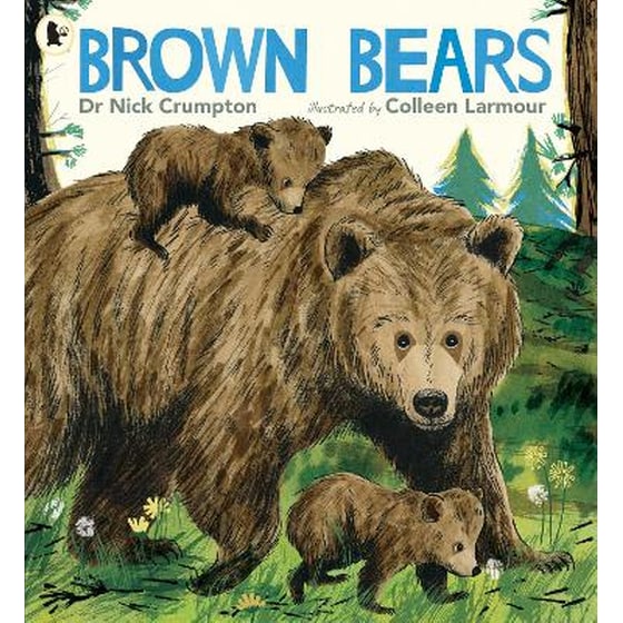 Brown Bears image 0