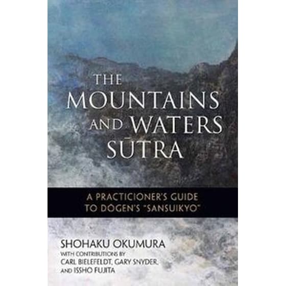 The Mountains and Waters Sutra image 0