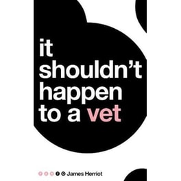 It Shouldn't Happen to a Vet