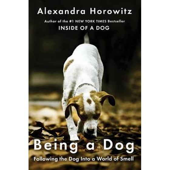 Being a Dog image 0