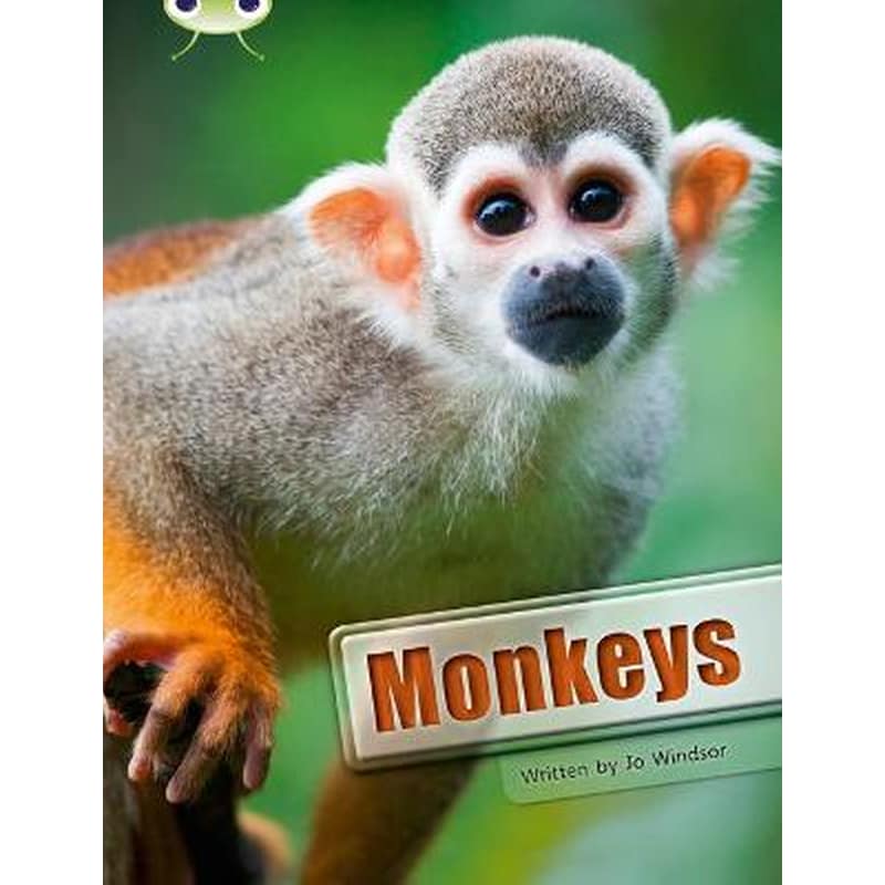 Bug Club Guided Non Fiction Year 3 White A Monkeys