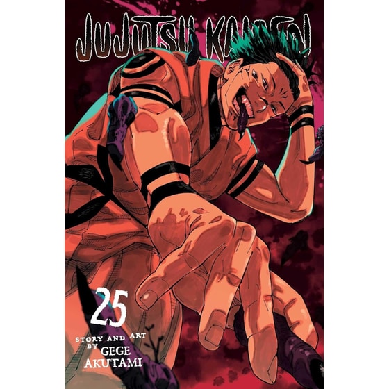 Jujutsu Kaisen, Vol. 25 image 0