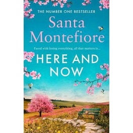 Here and Now: Evocative, emotional and full of life, the most moving book you'll read this year