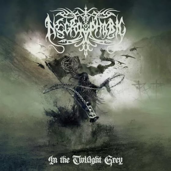 In The Twilight Grey (LP) image 0