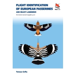 Flight Identification of European Passerines and Select Landbirds