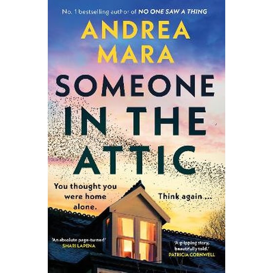 Someone in the Attic image 0