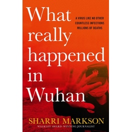 What Really Happened In Wuhan