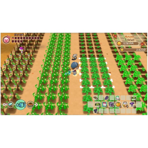 Story of Seasons: Friends of Mineral Town - Xbox Series X image 1