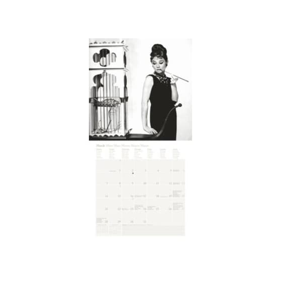ΗΜΕ.ΤΟΙΧΟΥ 30Χ30 AUDREY HEPBURN 2016 image 3