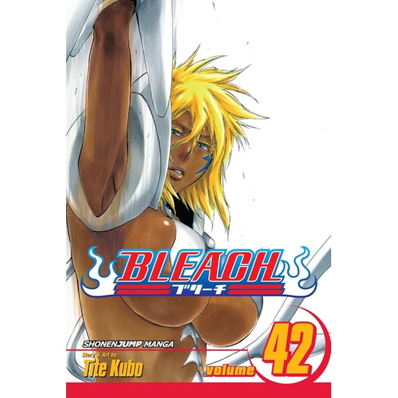 Bleach, Vol. 42 42 image 0