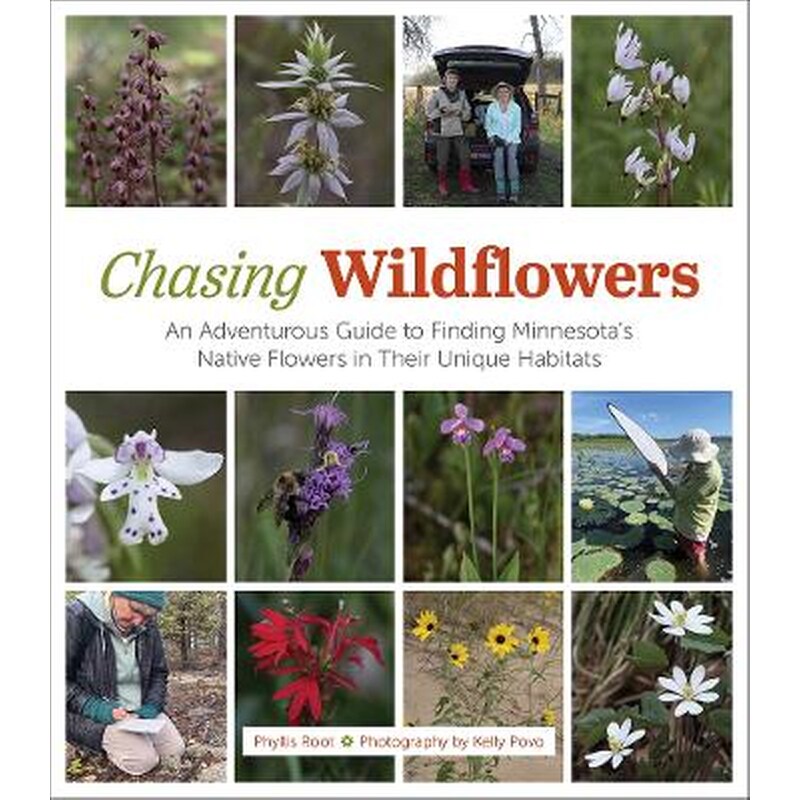 Chasing Wildflowers