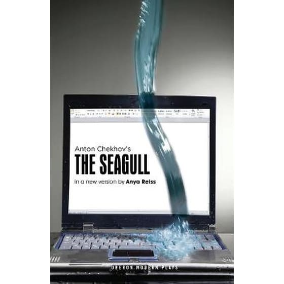 The Seagull image 0