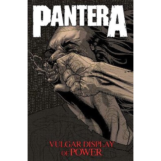 Pantera: Vulgar Display of Power image 0