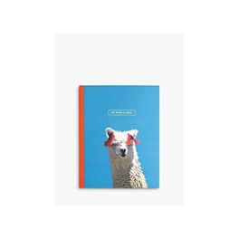 Planner Undate Lama Emily Brooks