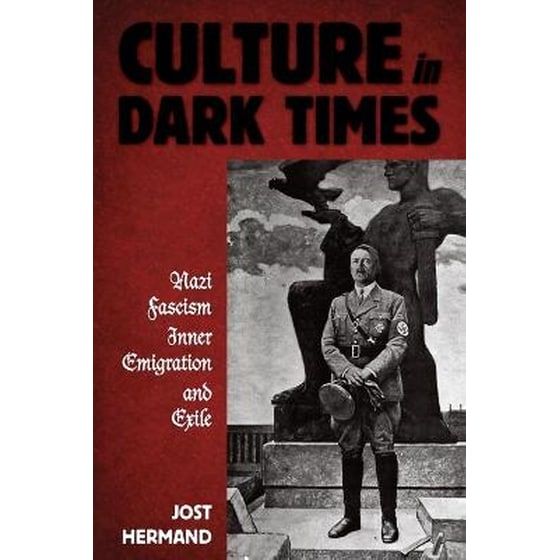 Culture in Dark Times image 0