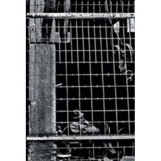 Το μυθιστόρημα ενός ανθρώπου δίχως πεπρωμένο (Συλλεκτική έκδοση) image 0