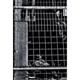 Το μυθιστόρημα ενός ανθρώπου δίχως πεπρωμένο (Συλλεκτική έκδοση)