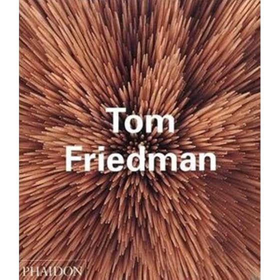 Tom Friedman image 0