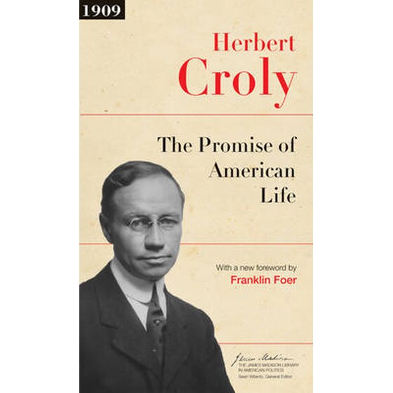 Promise of American Life image 0
