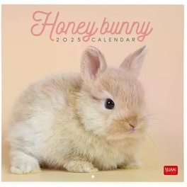 Ημερολόγιο Τοίχου Legami 2025 Honey Bunny 30x29 cm