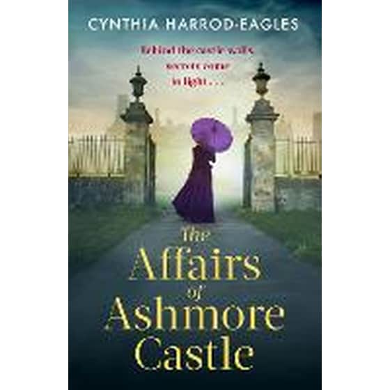 Affairs of Ashmore Castle image 0