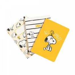 Σετ 3 Τετραδίων Α6 10x15 Snoopy Lazy Days