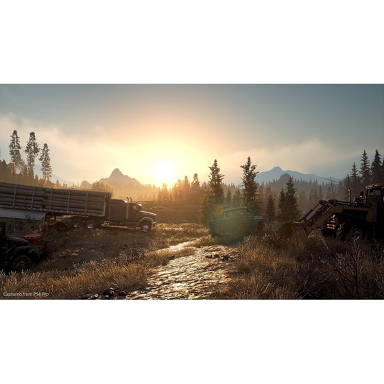 Days Gone - PS4 image 13