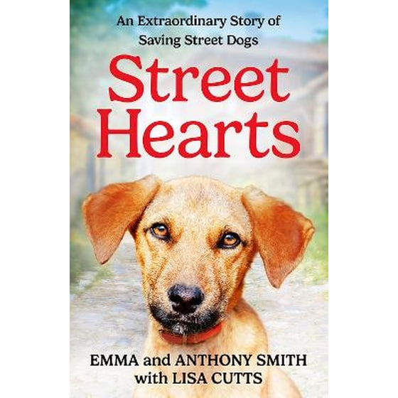 Street Hearts image 0
