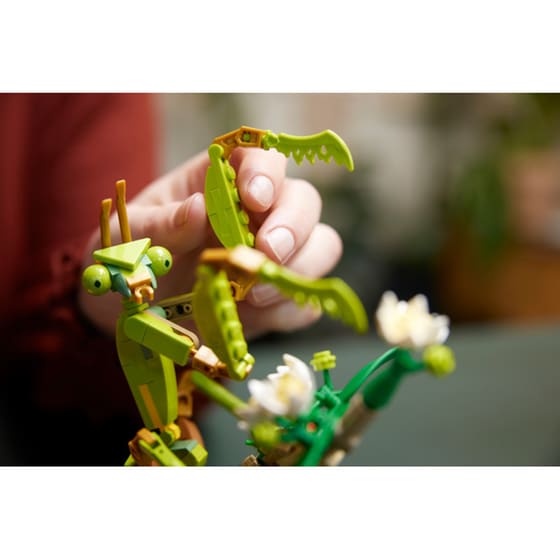 LEGO®Ideas The Insect Collection (21342) image 4