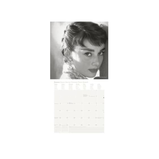 ΗΜΕ.ΤΟΙΧΟΥ 30Χ30 AUDREY HEPBURN 2016 image 1